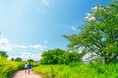 【募集開始】童心に立ち返って詠む俳句「童句」。狭山市立博物館が第11回コンクール作品を9月13日まで募集