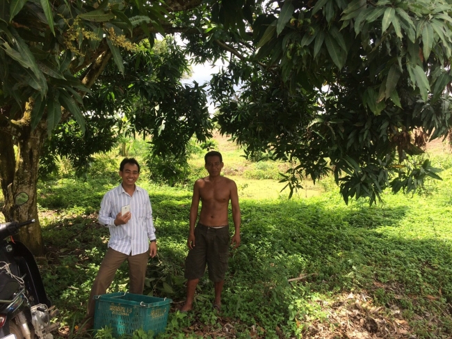 カンボジアのマンゴー農家さん