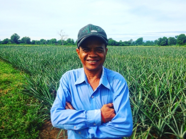 カンボジアのパイナップル農家さん