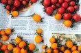 3つの“Green”をテーマに、地域と人がつながる。「広島 GREENS Market Produced by ロハスフェスタ」をひろしまゲートパークで6/6sat～6/7sunに初開催。