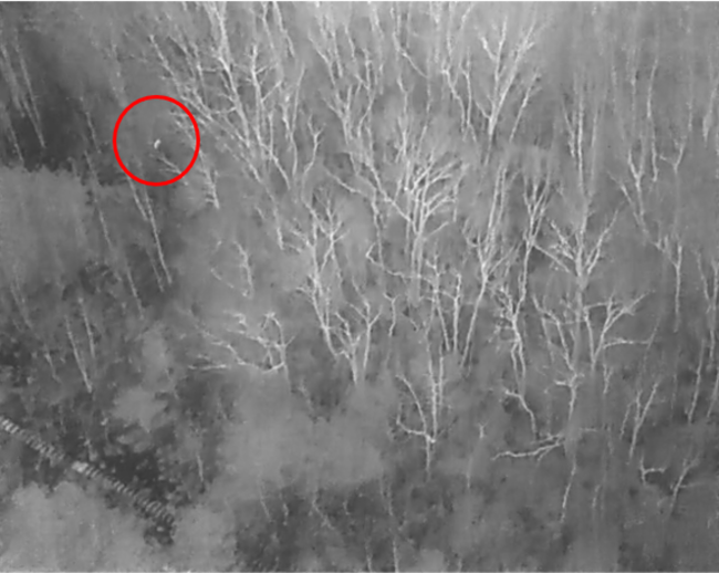 赤外線カメラで撮影した様子。赤丸はニホンジカを確認できた場所を示す