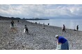 アイエスエフネットグループはWORLD CLEANUP DAYに参画し株式会社パソナグループと共同で清掃活動を行います