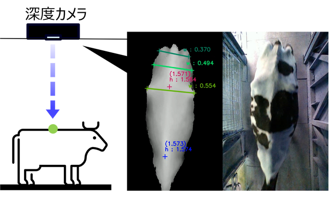 深度カメラによる撮影