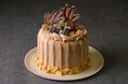 【鳥羽国際ホテル】秋の味覚「栗」を贅沢に味わう限定ケーキ「Autumn Marron ～森林仕立てのモンブラン～」