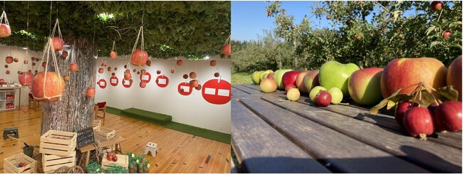 左)昨年の会場の様子 右)岩手県の「サンファーム」さんからりんごが届きます。 左)昨年の会場の様子 右)岩手県の「サンファーム」さんからりんごが届きます。