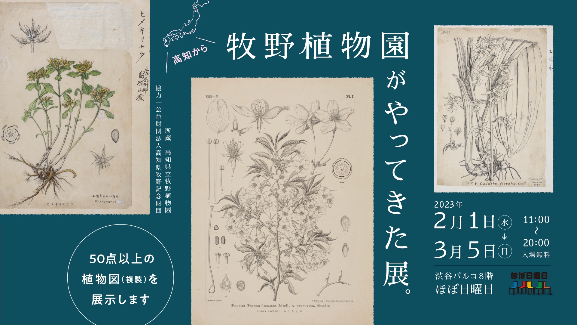 牧野植物園がやってきた展。」を渋谷PARCOで開催します！｜ほぼ日の