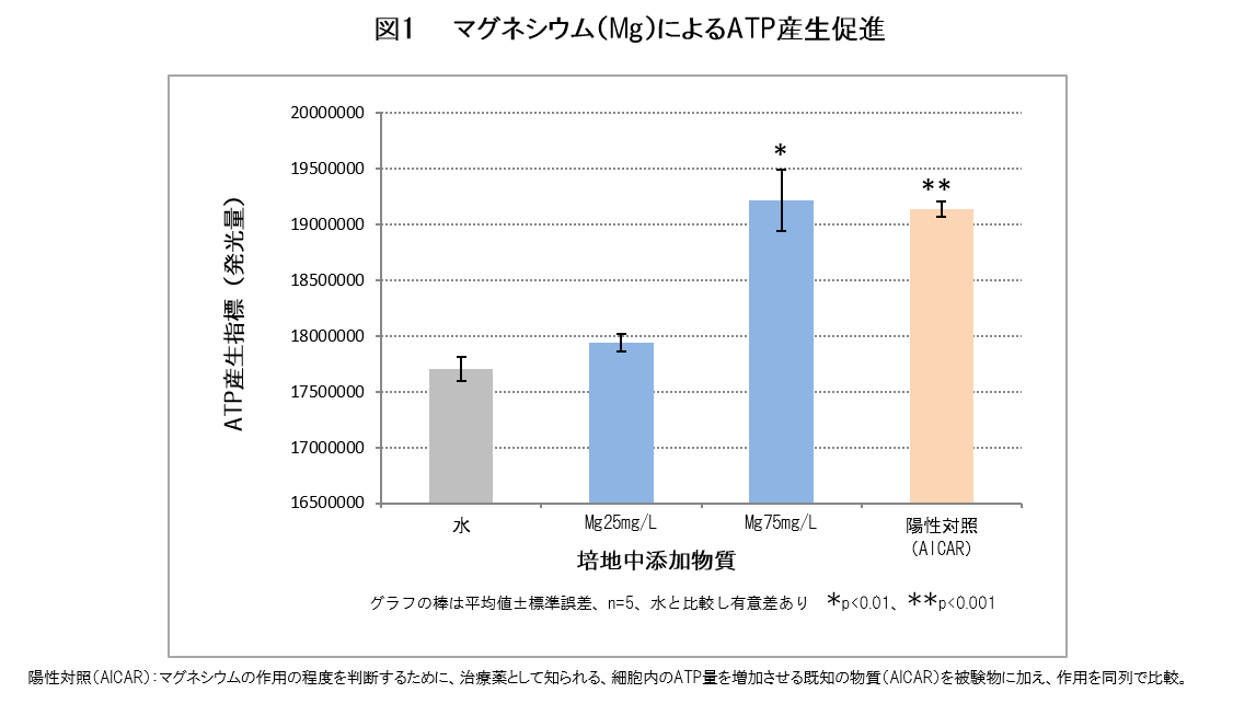 トレーニングには マグネシウム マグネシウムによる筋肉形成効果を初めて確認 代謝もアップ 赤穂化成株式会社のプレスリリース