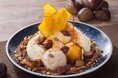 小さな森珈琲 秋の季節限定「珈琲とマロン」をテーマにした新メニューが登場!