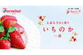 ファーマインドの自社生産いちご、香り豊かな「いちのか」2025年11月下旬より販売開始