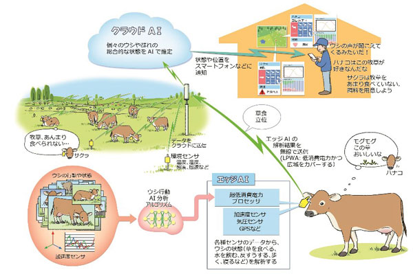 図1：共同プロジェクトチームが目指す将来の畜産イメージ
