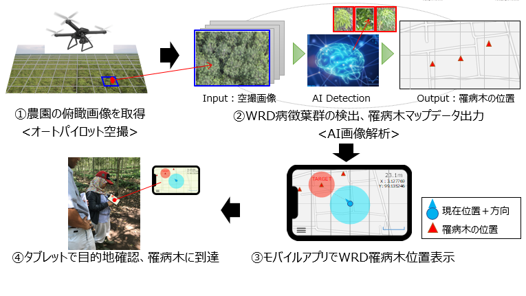 Isid ブリヂストンとai画像診断を用いた パラゴムノキ の高精度病害診断技術を共同開発 株式会社電通国際情報サービスのプレスリリース