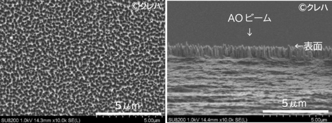 原子状酸素を照射したプラスチックフィルムの電子顕微鏡画像（左：表面 右：断面）