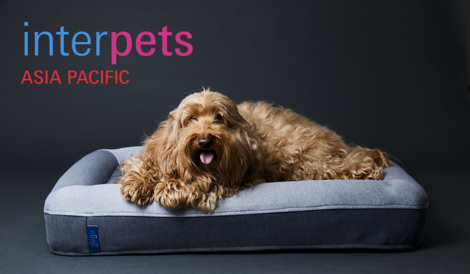日本最大級のペットイベント インターペット に犬用ベッド Guguドギー が出展 株式会社グーグースリープのプレスリリース