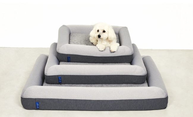 眠りの会社 「gugu sleep」 初となる高品質犬用ベッドが登場 愛犬の