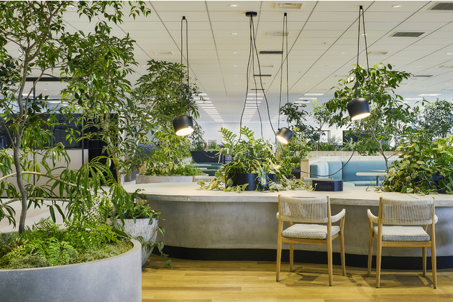 丸紅株式会社の新オフィスの“Round”スペース　設計デザインをカッシーナ・イクスシーが担当、ツクルバが空間設計で協力