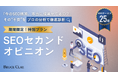 ブルースクレイ・ジャパン、年末限定の「SEOセカンドオピニオン特別プラン」を提供開始