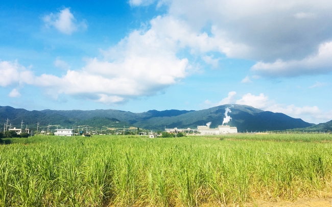 システムフォレスト 石垣島製糖株式会社へiotを導入 電源のないサトウキビ 畑で雨量を可視化し 最適な収穫タイミングの予測が可能に 株式会社システムフォレストのプレスリリース