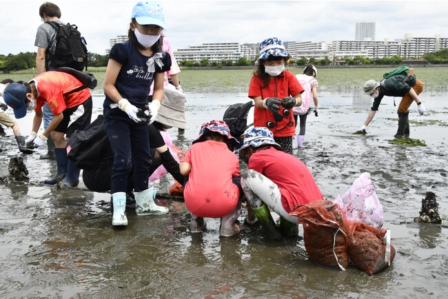 谷津干潟をキレイにしよう! 谷津干潟をキレイにしよう!