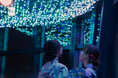 東京タワー 七夕まつり2025