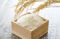 「売るコメない」一転　米屋の廃業、3年ぶりに減少　2025年度は8割が「増益」、過去最高　好業績の裏で「逆ザヤ」リスク拡大