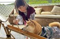 大好評「愛犬流しそうめん」2025年は7月4日から開催!今年は「愛犬スタミナ ステーキフェア」も同時開催!