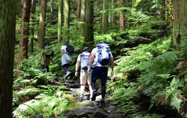 日本初試み ストレス軽減するような癒しを目的とした 森林浴 森林セラピー などの体験プログラムを専門に提供するプラットフォームをリリース Earth Trekking株式会社のプレスリリース