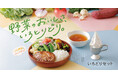 今年はスープも選べてもっと自分好みに!ちょうどいいボリュームで愉しむ「野菜のおいしさ、いろとりどり。」びっくりドンキーのいろどりセットのキャンペーンを今年も実施!