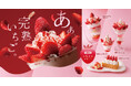 今年は新たに「完熟いちごシフォン」が登場！旬の国産いちごが増量したいちごデザート4種を1月21日（水）より販売開始