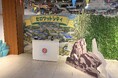 【開催レポート】地元の子どもたちがヒーローになって再生可能エネルギーについて学ぶ！サイエンスワークショップ「ゼロワットパワークエスト」開催