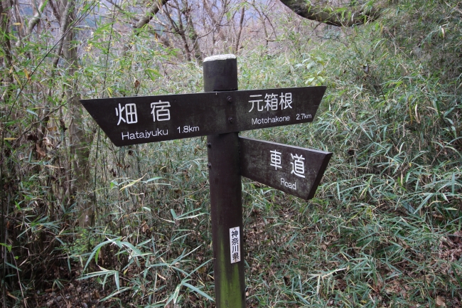 箱根の山道2