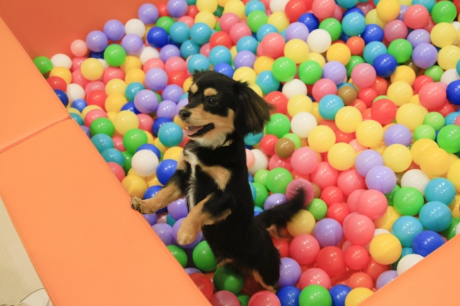 会員制別荘リゾートワンズランド