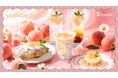 ごろっと桃を使った“とろもち食感”のスムージー、チーズケーキなど白桃尽くしの夏季限定メニュー5種を6月20日（土）より発売