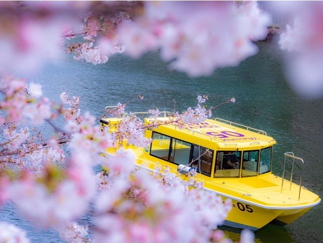 目黒川、月島川の水上から観る桜をお楽しみいただけます