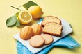 【銀座コージーコーナー】瀬戸内レモンを使用した3種の焼菓子をアソート。自分用にも贈り物にもおすすめ。4月9日登場!