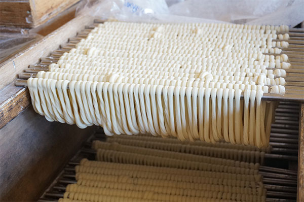 手綯いの工程を終えた稲庭うどん