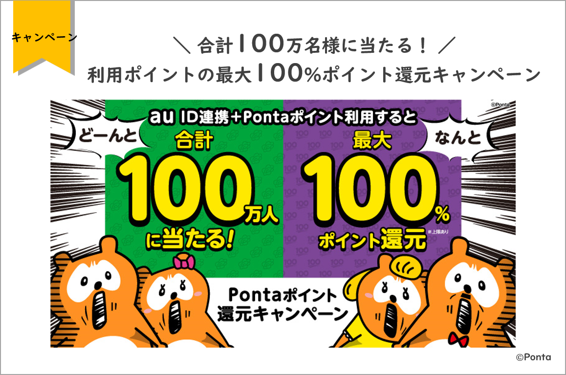 合計100万名様に当たる！利用ポイントの最大100%ポイント還元