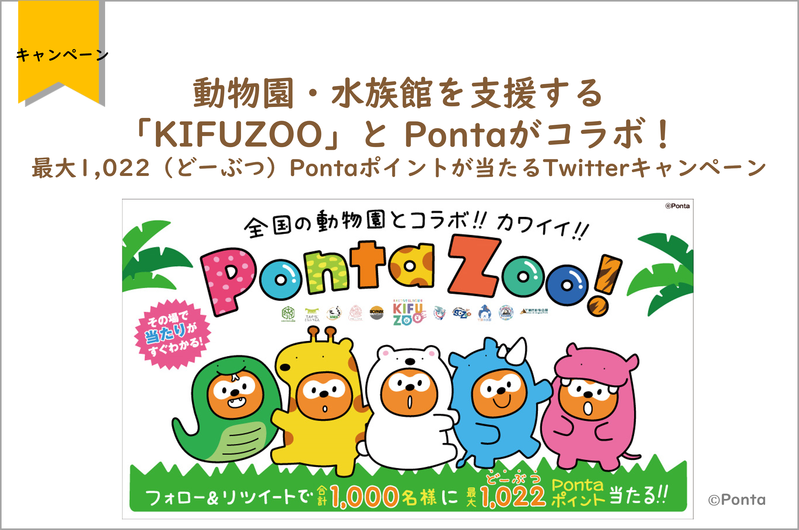 動物園 水族館を支援する Kifuzoo とpontaがコラボ 最大1 022 どーぶつ Pontaポイントが当たるtwitterキャンペーン開催 株式会社ロイヤリティ マーケティングのプレスリリース
