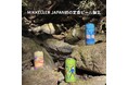 MIKKELLER JAPAN初の定番ビール誕生、『MIKKELLER NZ』始動！