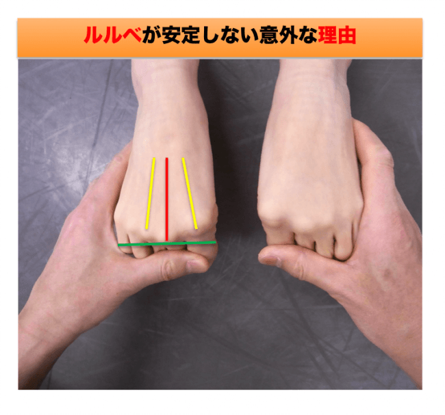 イカ足の特徴（甲側から見た写真）