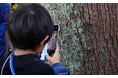 今年最後のセミ探し！春から季節を追う「セミクエスト」最終章