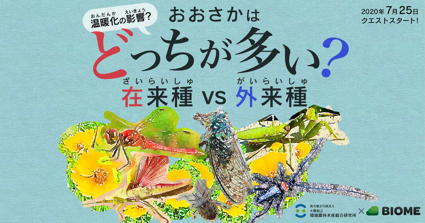 阪環農水研 Biome アプリを通じて生物多様性と気候変動を視覚化 市民参加型コンテンツ 在来種 Vs 外来種 おおさかはどっちが多い を配信開始 株 バイオームのプレスリリース