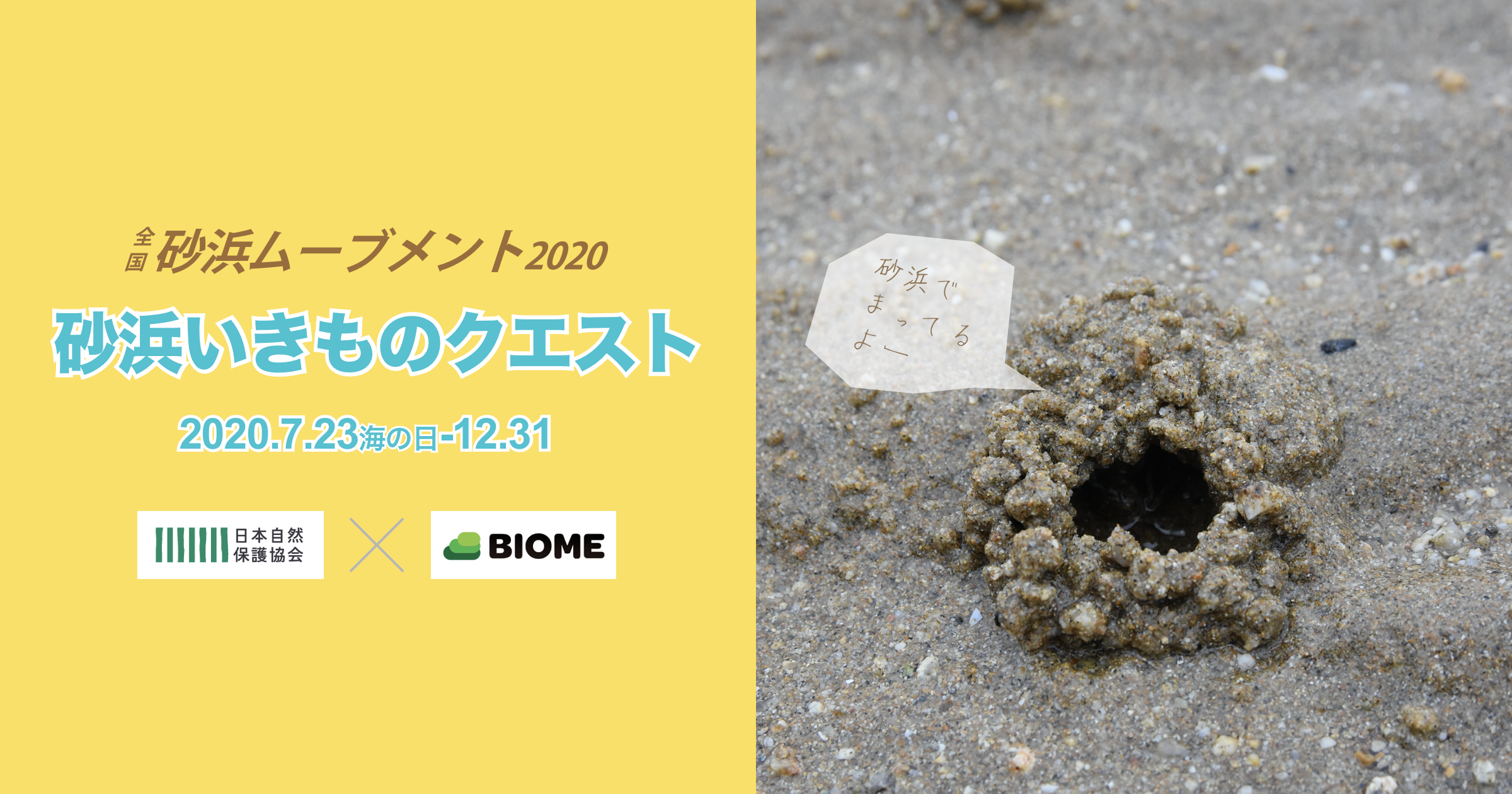 日本自然保護協会 Biome 全国の砂浜でいきもの大調査 全国砂浜ムーブメント 開催中 株 バイオームのプレスリリース