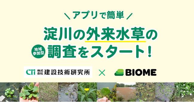 建設技術研究所 Biome スマホアプリを用いて 大阪府 淀川の外来水草調査を実施 株 バイオームのプレスリリース
