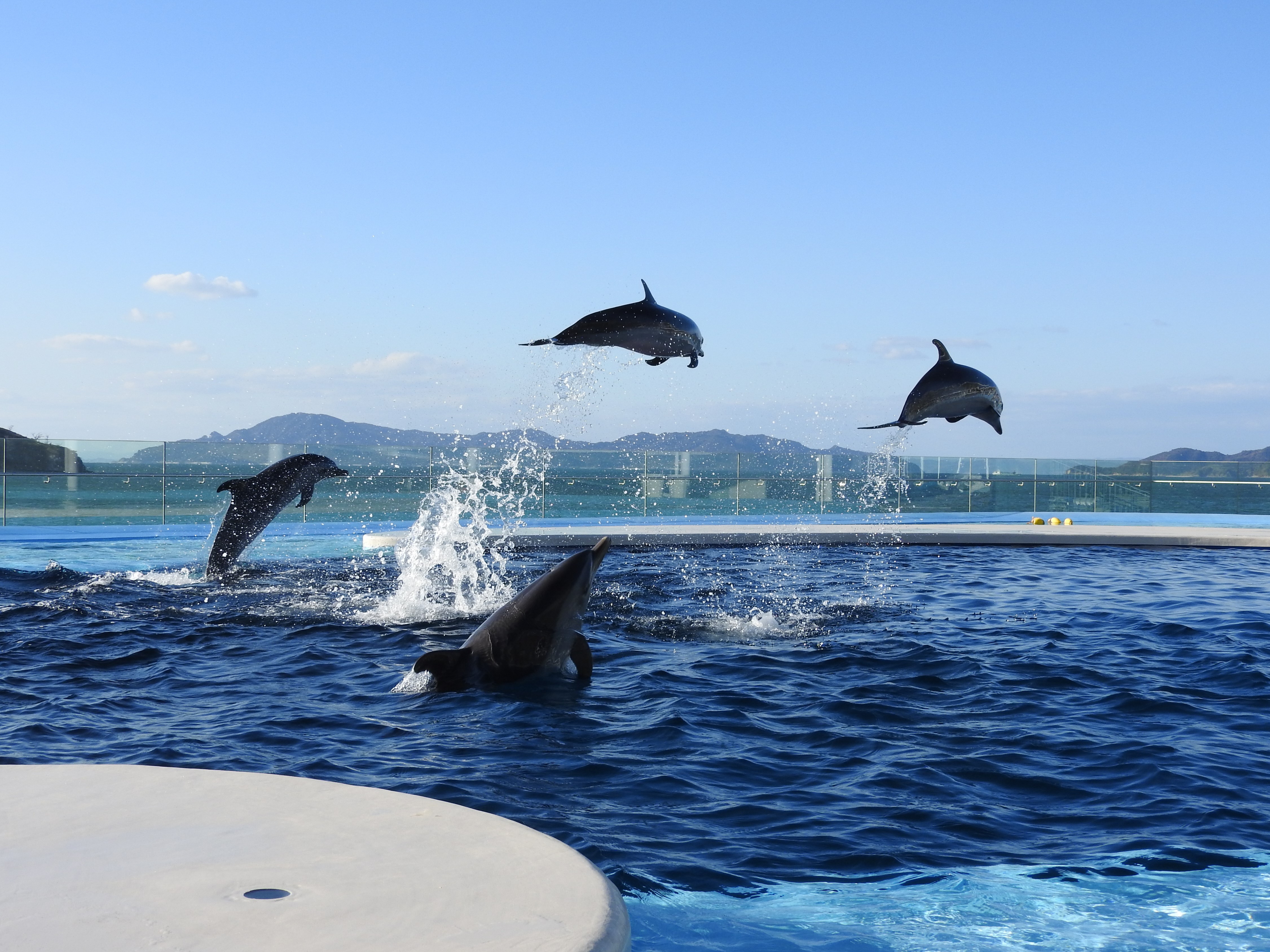 世界が選ぶ2020年に訪れたい旅行先「香川県高松市」四国最大級の水族館が間もなくオープン！香川県を代表する桜スポットや“BONSAI”文化も