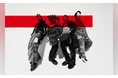 THE ORAL CIGARETTES ARENA TOUR 2025「AlterGeist0000」開催決定!ファンクラブ会員先行受付中!