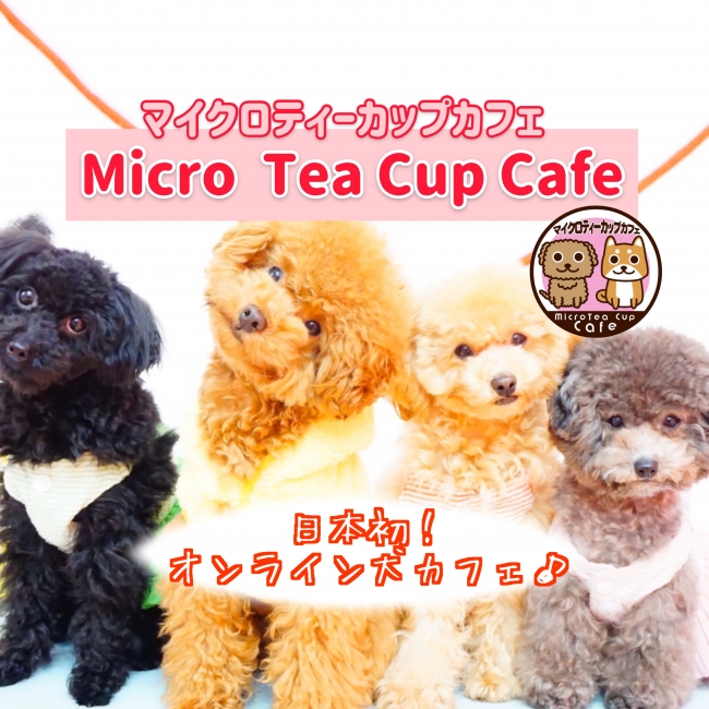 日本初の試み オンライン犬カフェ 始動 まいくろ商店株式会社のプレスリリース