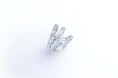 ダミアーニ 全国の直営店にてブライダルフェア“Say Yes With Damiani” を開催