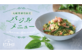 北海道産バジルの魅力をひと皿に。ピエトロ イオンモール札幌発寒店限定メニューを好評提供中