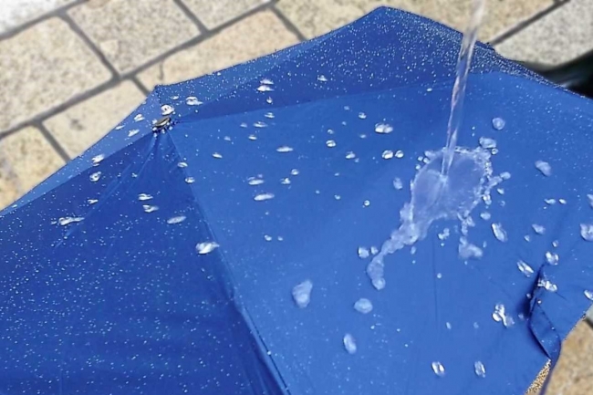 防水スプレー後の傘