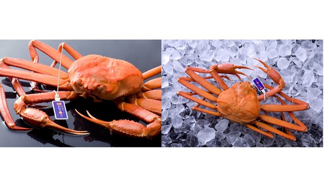 高志の紅がに 高志の紅がに